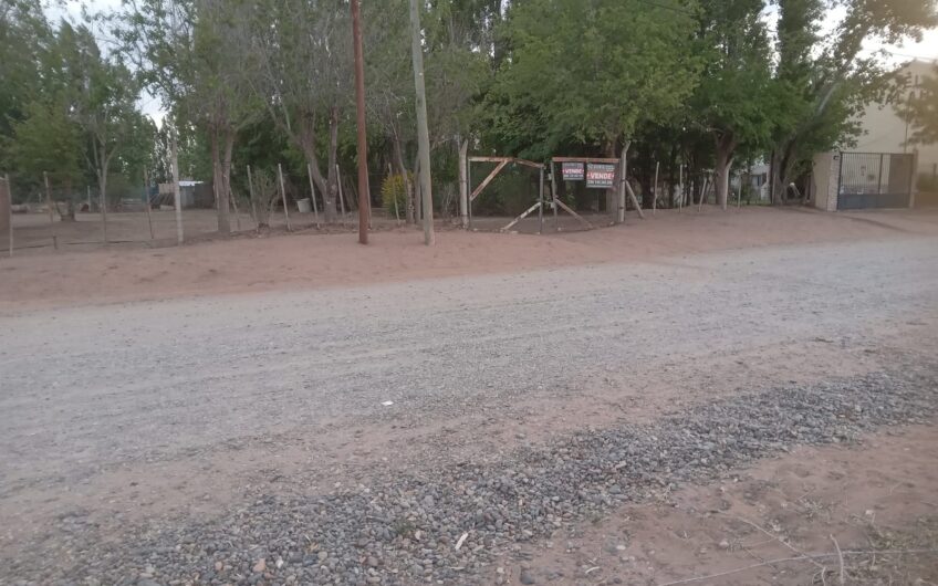 Lote con Local comercial – Frente a ruta 237 – Chocón