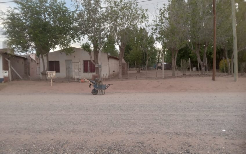 Lote con Local comercial – Frente a ruta 237 – Chocón