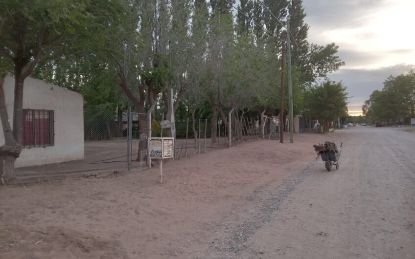 Lote con Local comercial – Frente a ruta 237 – Chocón