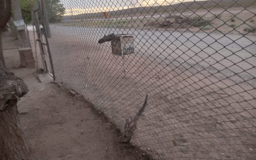 Lote con Local comercial – Frente a ruta 237 – Chocón