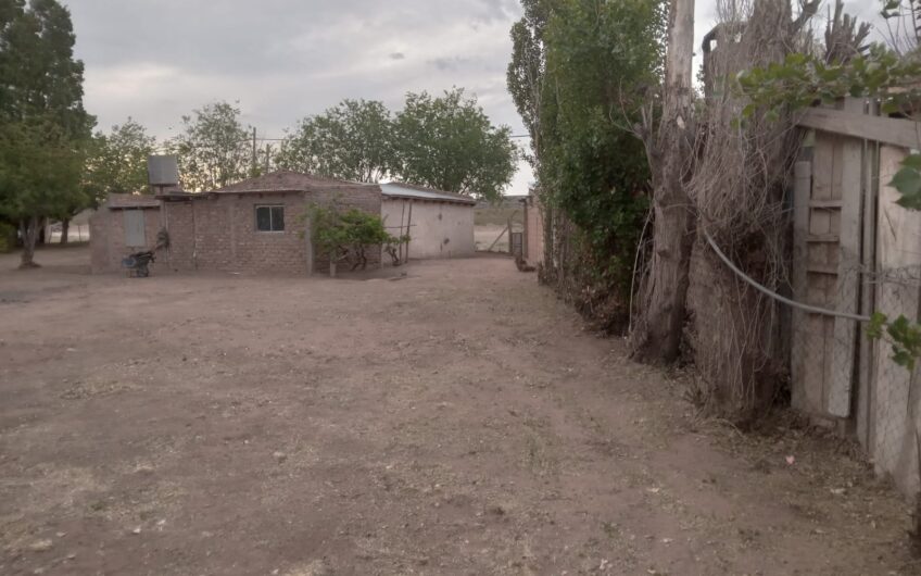Lote con Local comercial – Frente a ruta 237 – Chocón