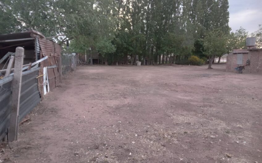 Lote con Local comercial – Frente a ruta 237 – Chocón