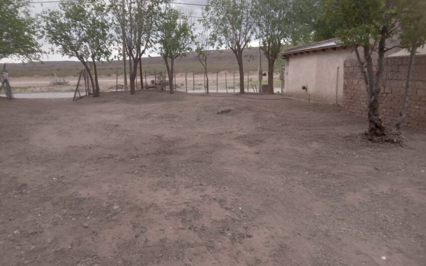 Lote con Local comercial – Frente a ruta 237 – Chocón