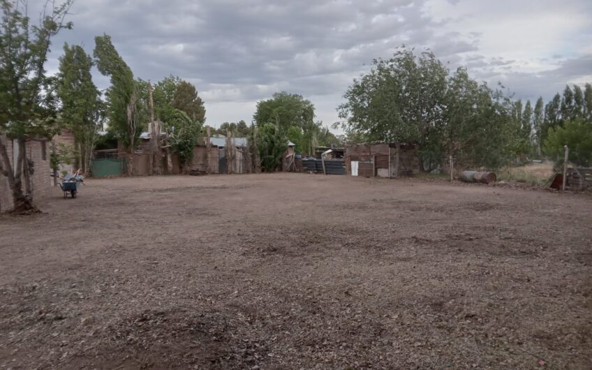 Lote con Local comercial – Frente a ruta 237 – Chocón