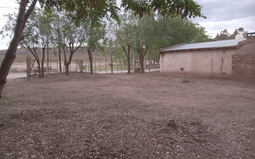 Lote con Local comercial – Frente a ruta 237 – Chocón