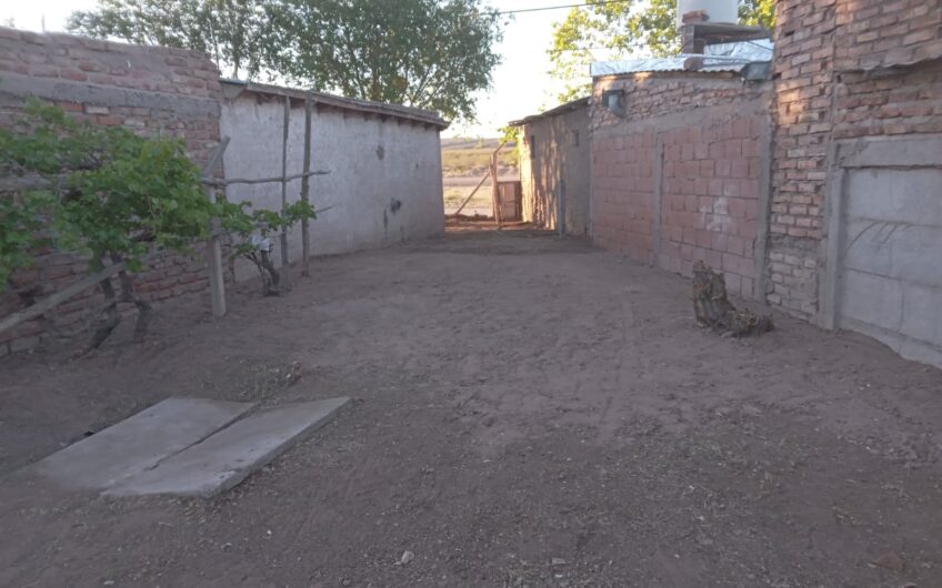 Lote con Local comercial – Frente a ruta 237 – Chocón