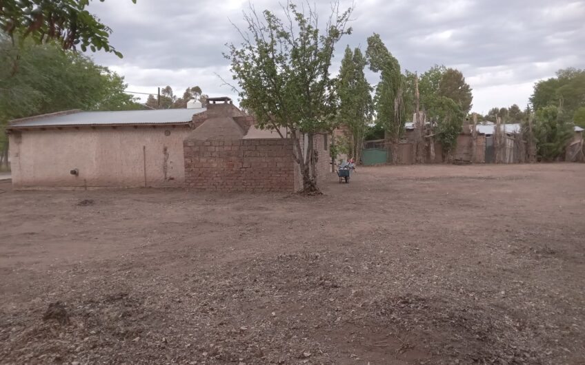 Lote con Local comercial – Frente a ruta 237 – Chocón