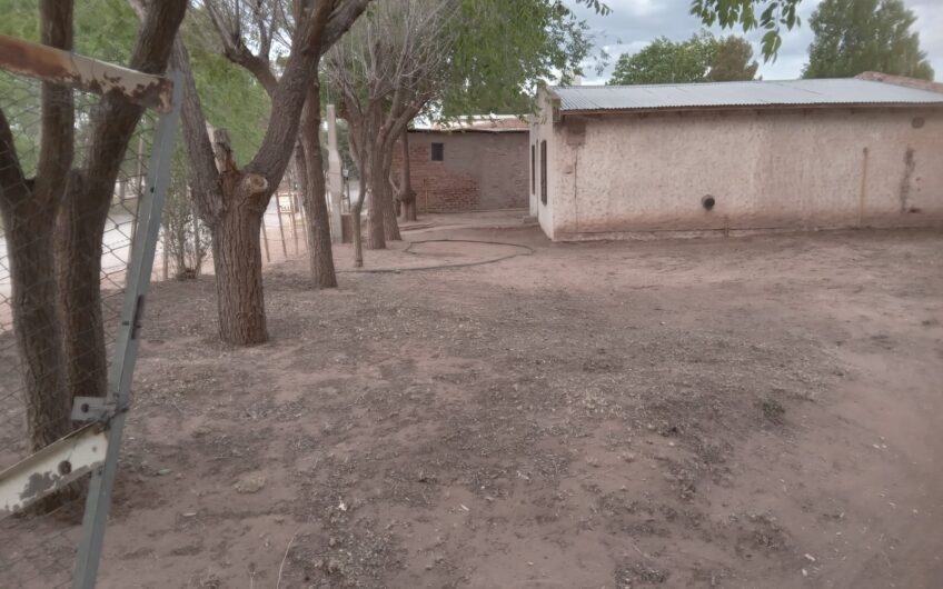 Lote con Local comercial – Frente a ruta 237 – Chocón