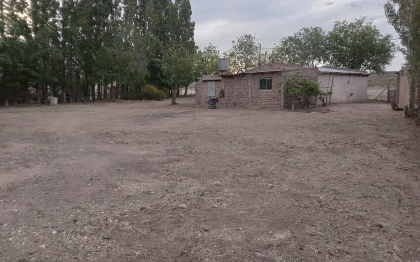 Lote con Local comercial – Frente a ruta 237 – Chocón
