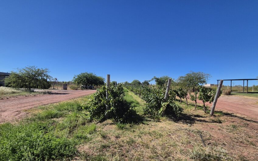 Terreno con Vista Al Lago Mari Menuco, La Península